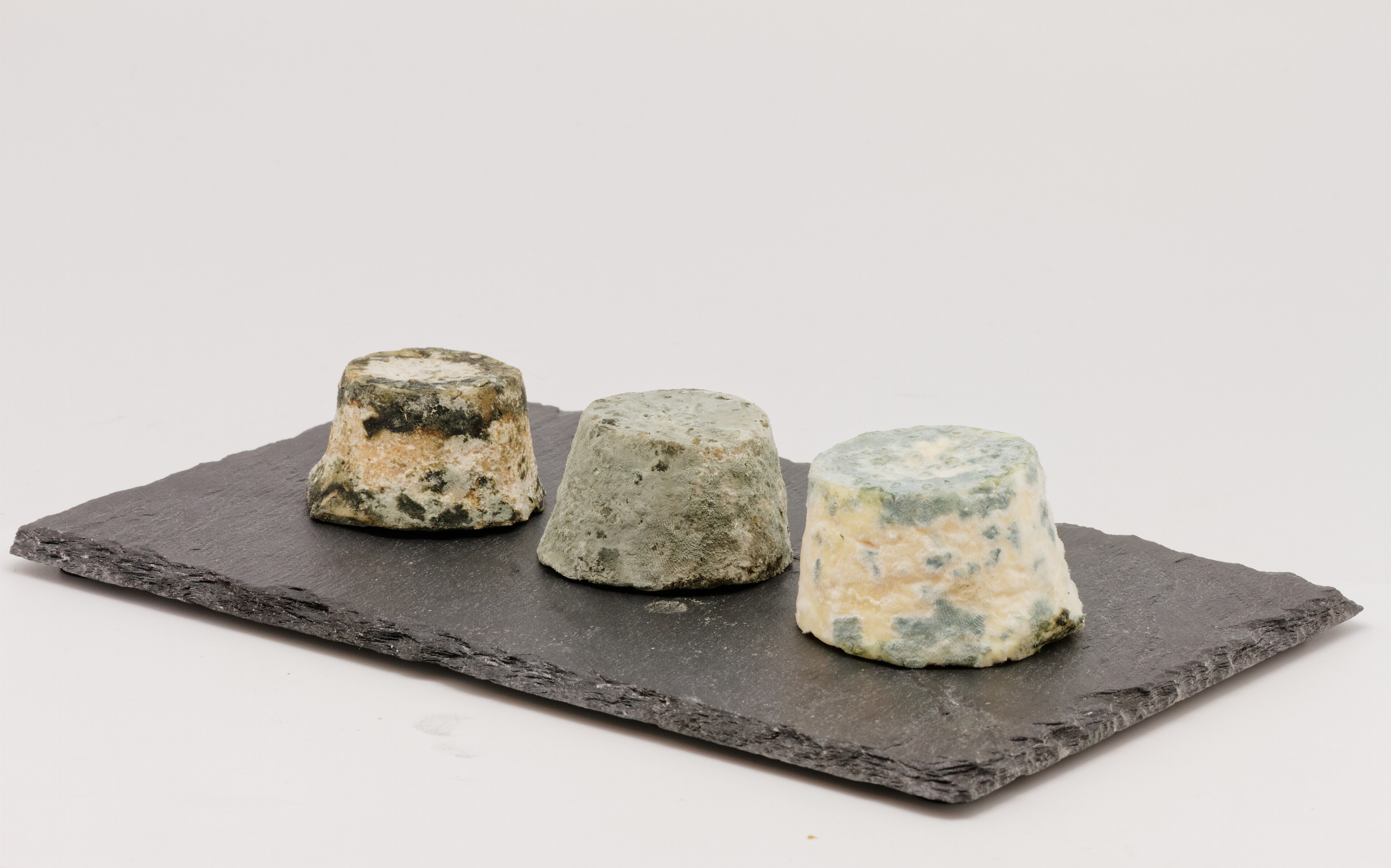 Mâconnais : Fromage AOP Mâconnais, photo fromage de chèvre mâconnais