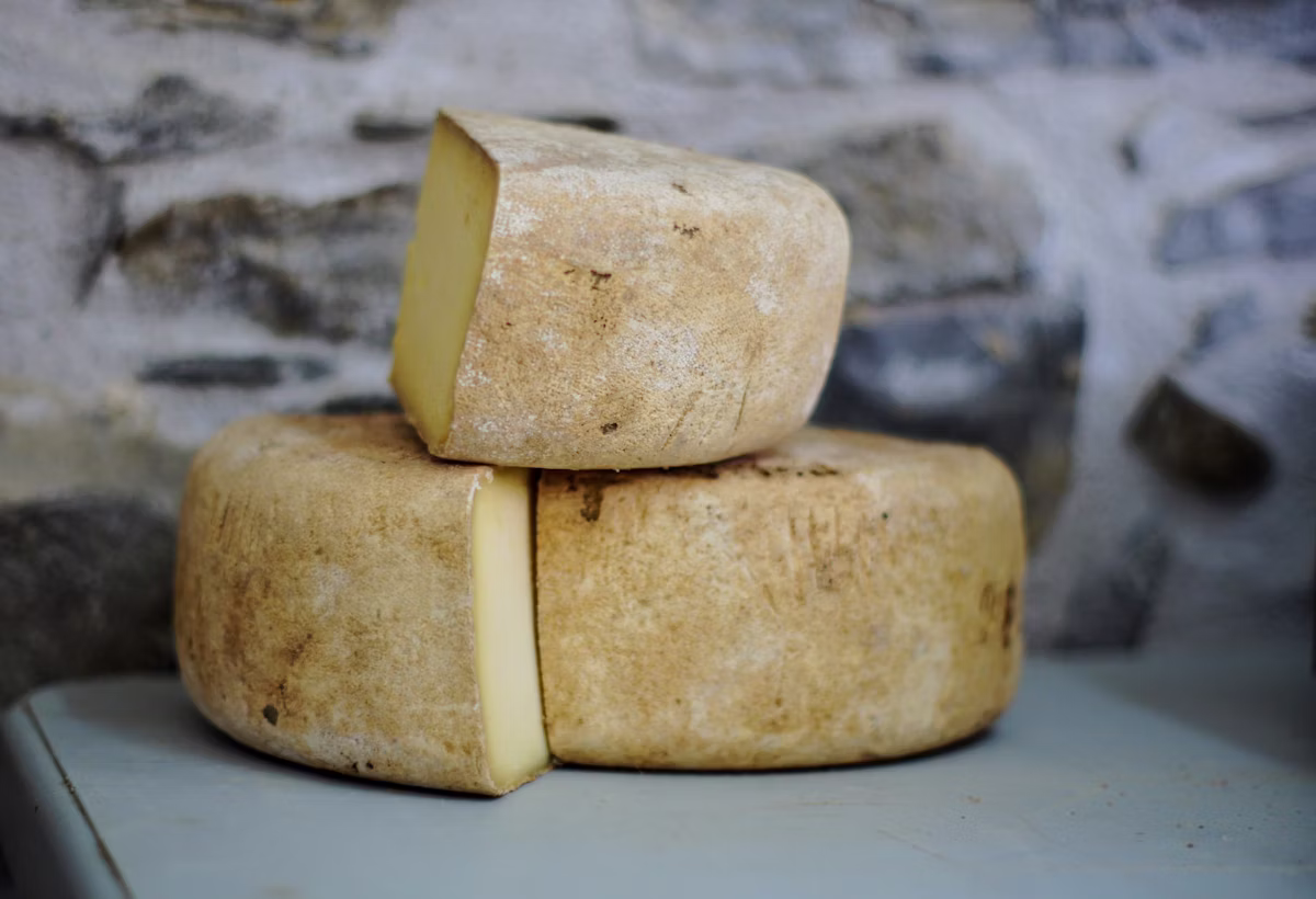 Fromage fondant pour recettes chaudes, gratins et tartines